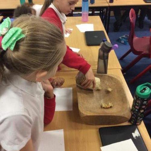 Anglo Saxon / Viking Day - Kangaroos