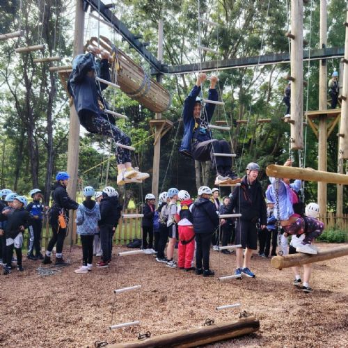 Vivary Park - High Ropes