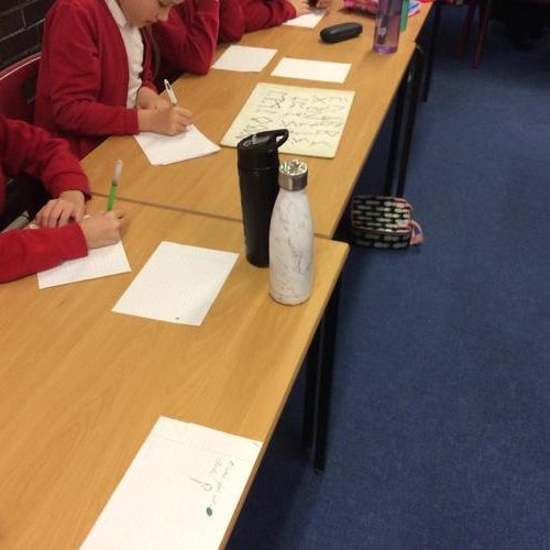 Anglo Saxon / Viking Day - Giraffes